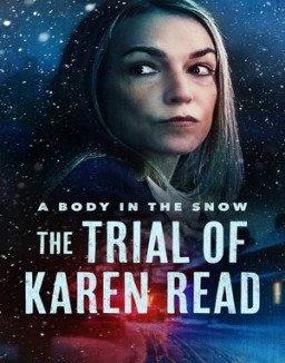 A Body in the Snow - The Trial of Karen Read serie castellano