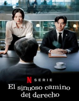 El sinuoso camino del derecho serie castellano
