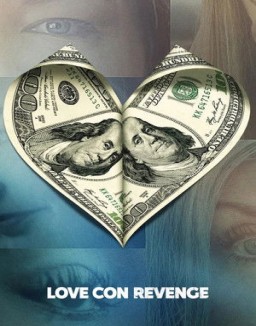 Falso amor y venganza serie castellano