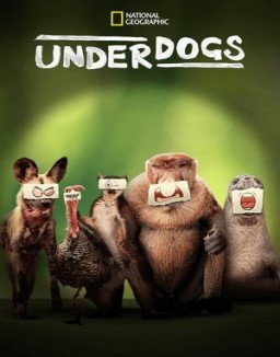 Underdogs serie castellano